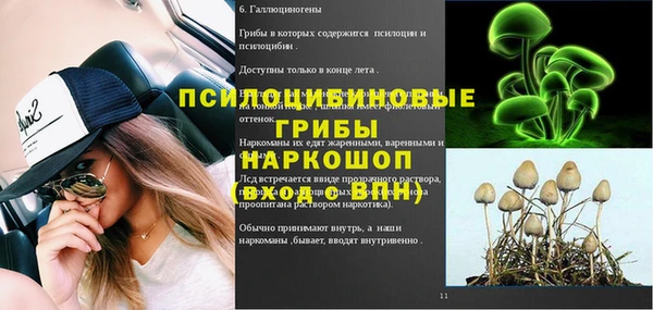 стафф Зеленокумск