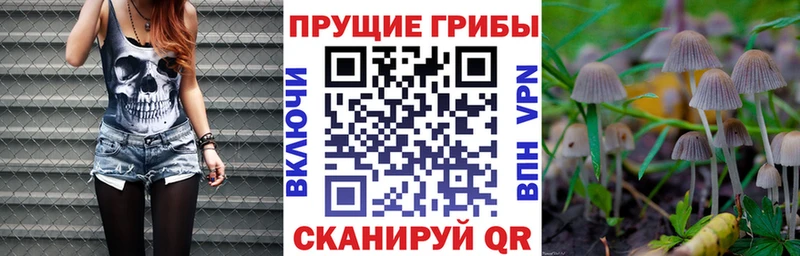 Купить  Талдом  Псилоцибиновые грибы мухоморы 
